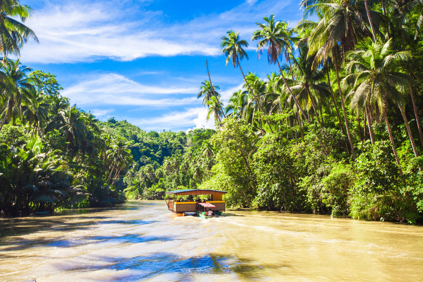 loboc