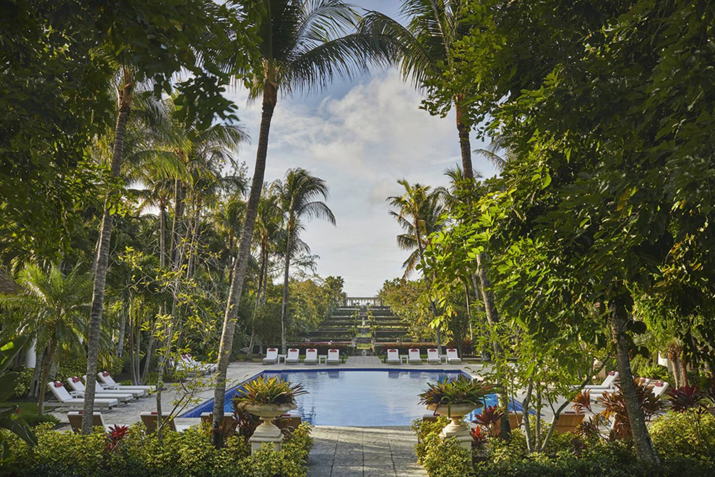 pool surrounded by palm trees