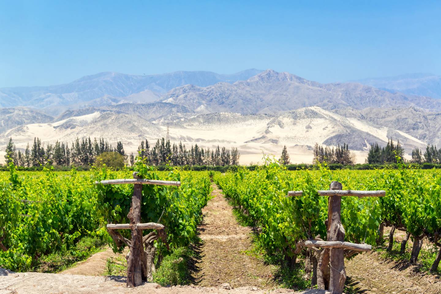 Pisco, Peru