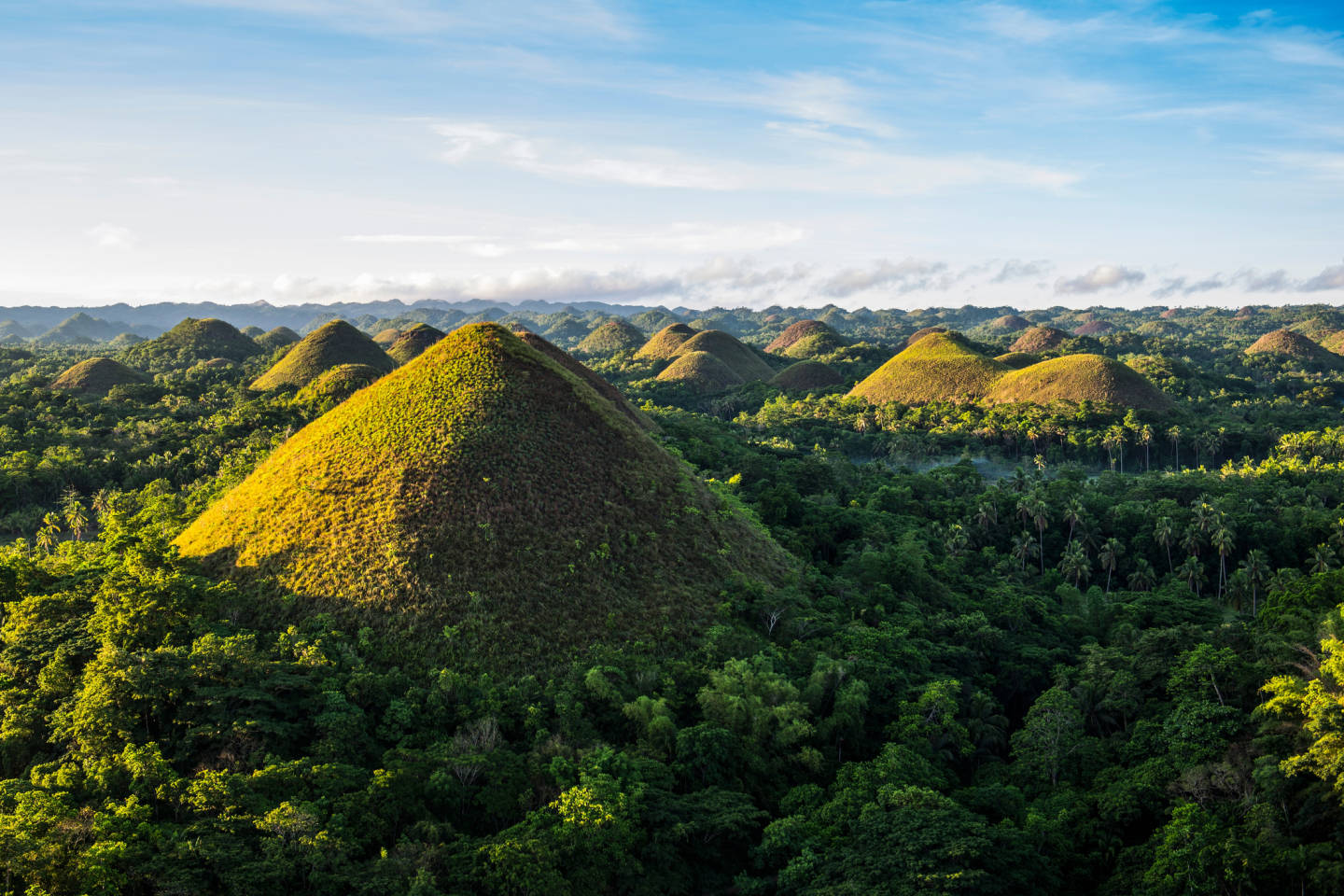 Bohol