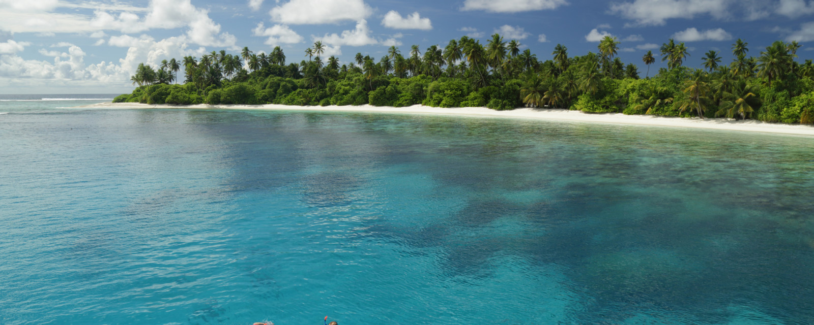 Maldives snorkel