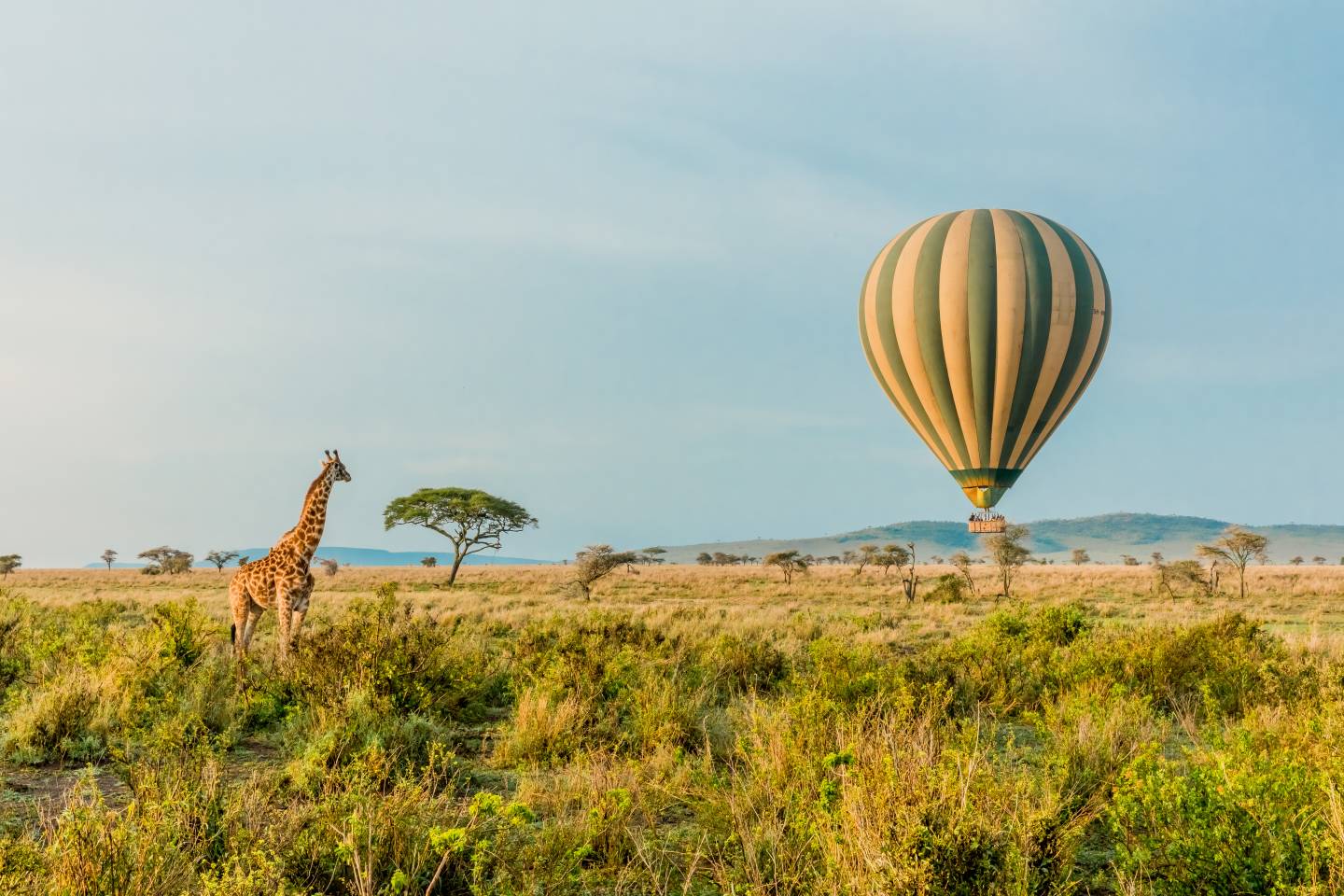 balloon