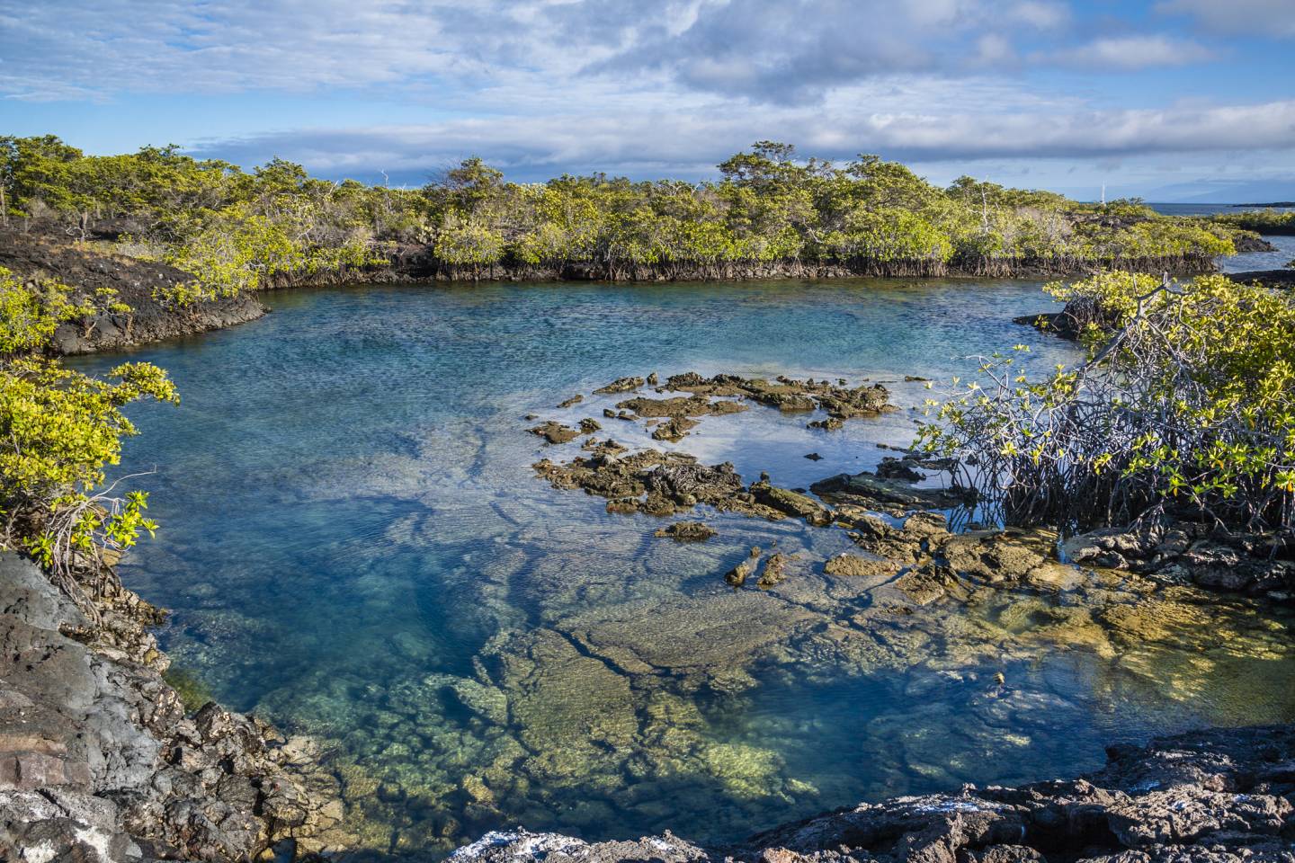 Galapagos