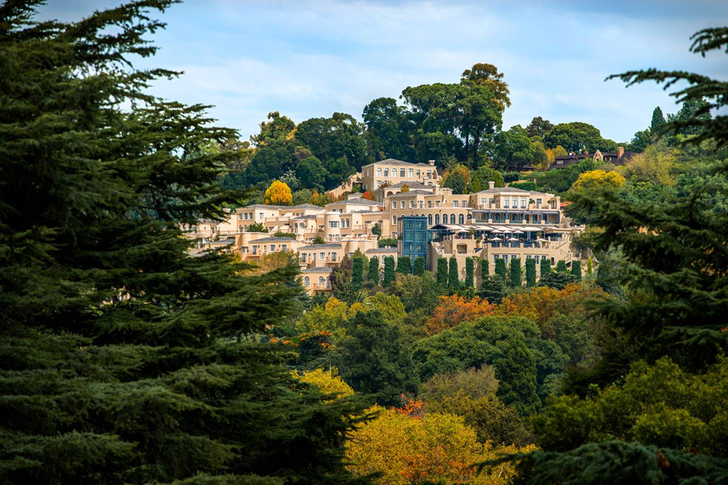 hotel tucked into wooded hillside