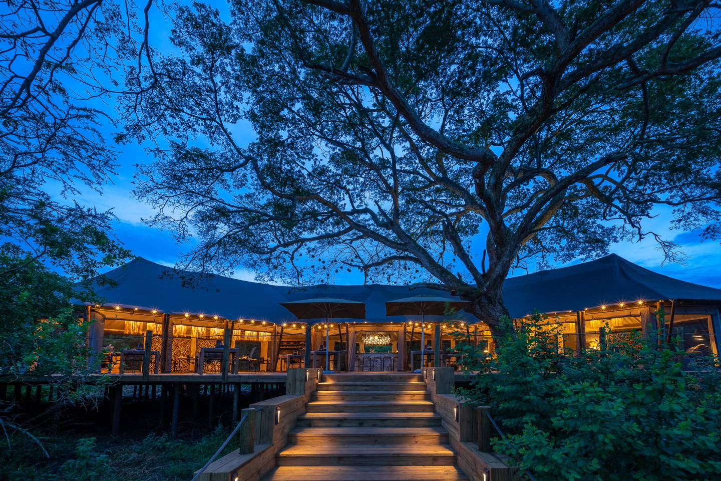 exterior of tented hotel in jungle