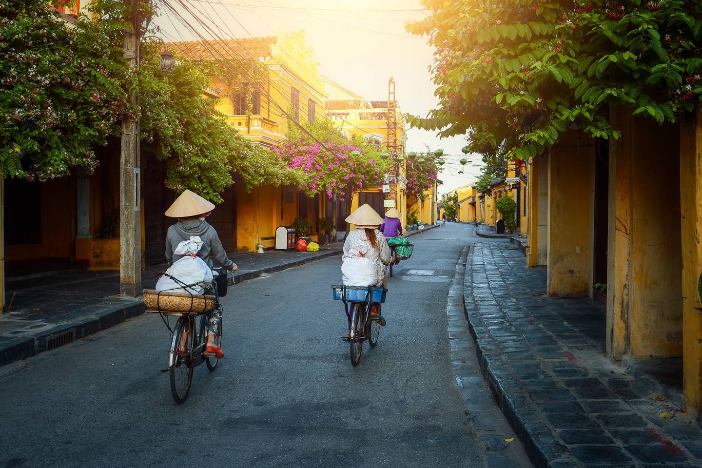 Bicycles, Hoi An, Vietnam