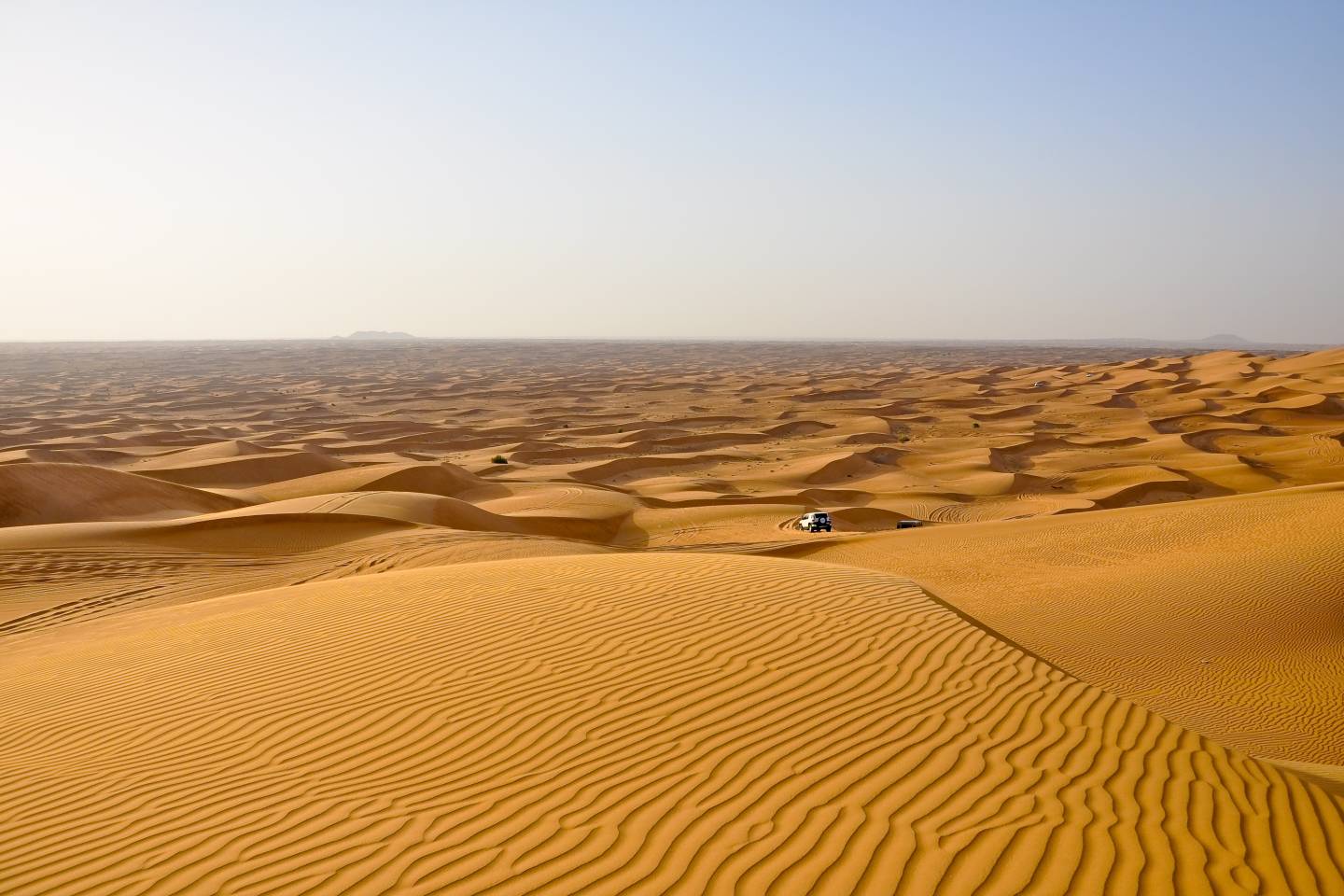 Dubai United Arab Emirates Desert