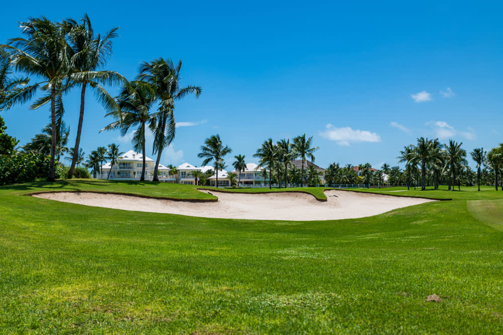 tropical golf course