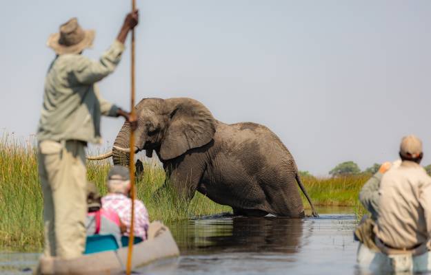 Okavango Delta Mokoro Canoe