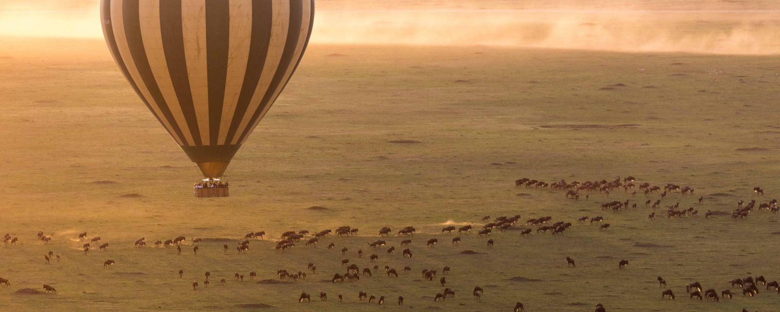 Hot Air Balloon, Serengeti Africa