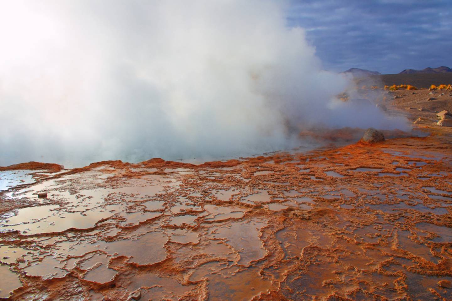 reserva tatio