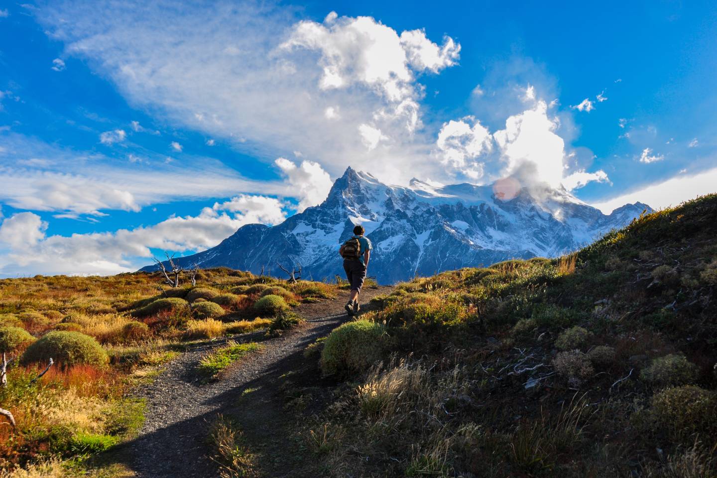 Torres Del Paine