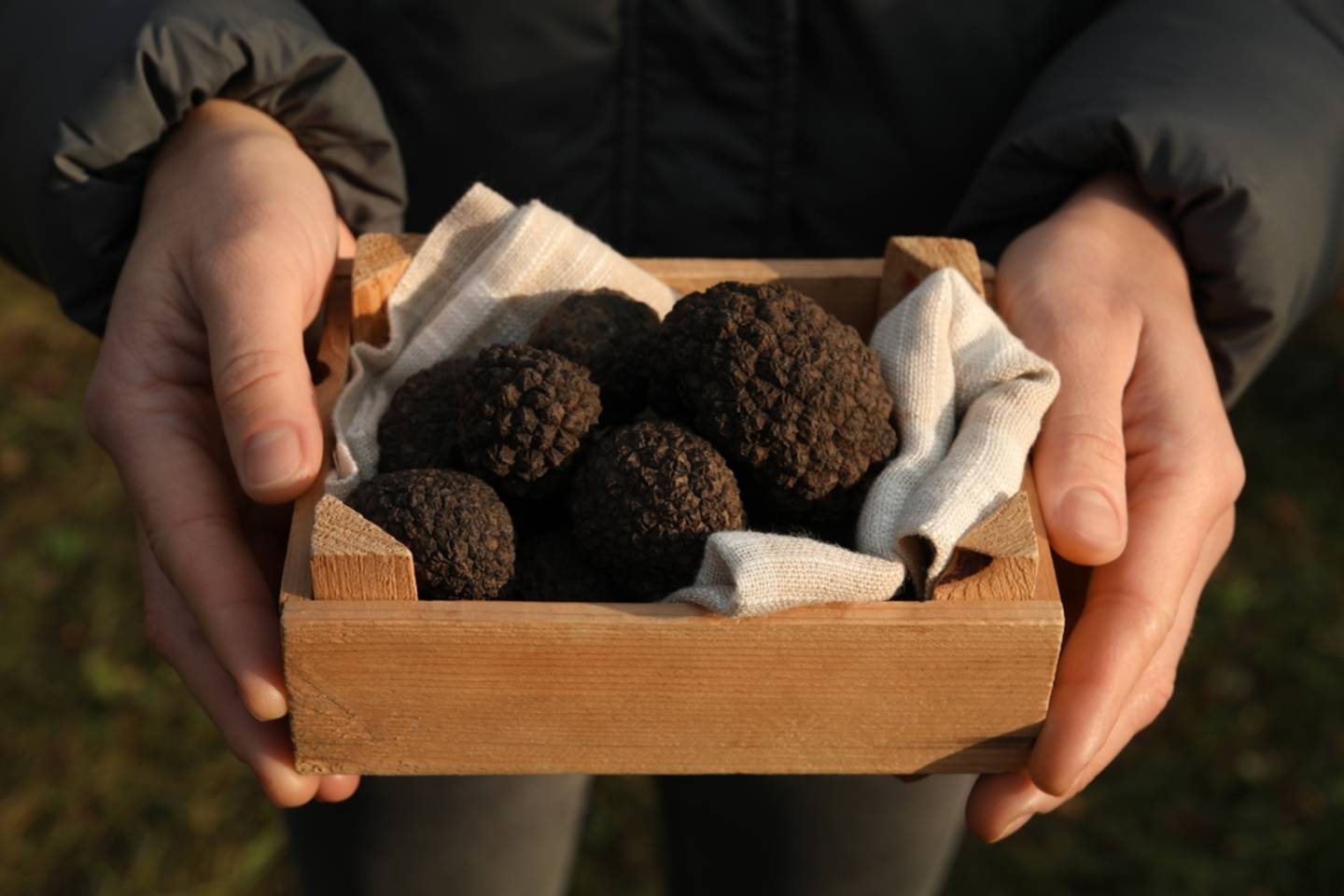 Truffle Hunting