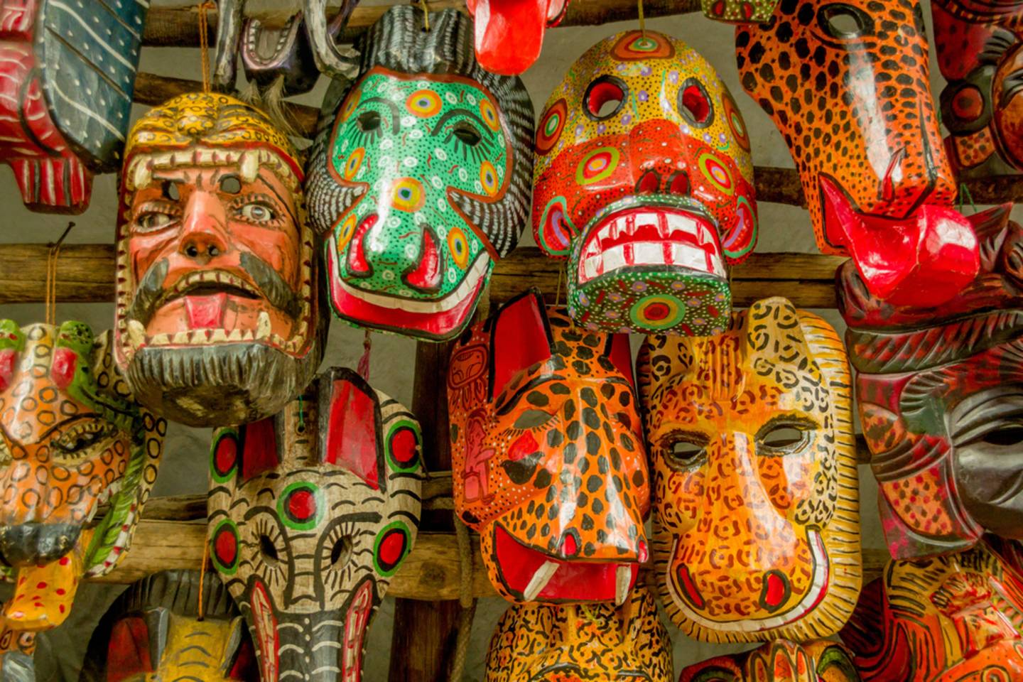 birds, antigua, guatemala