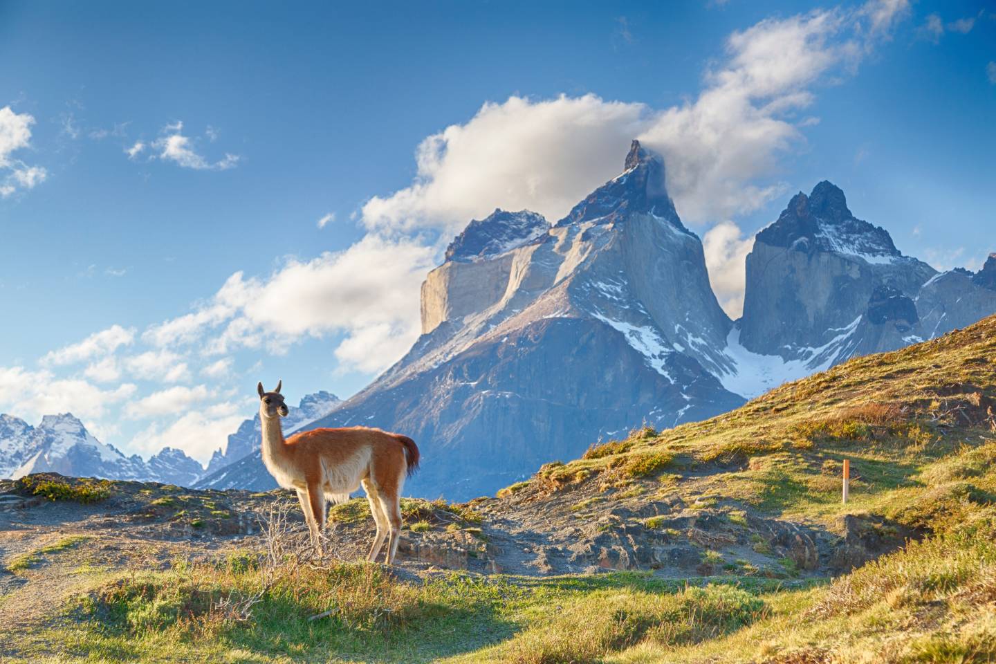 Torres del Paine National Park