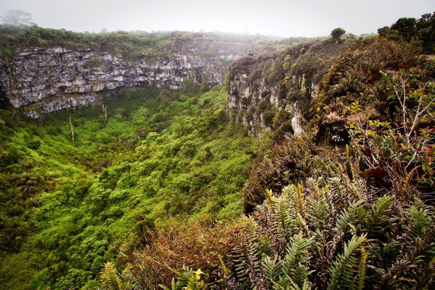 cerro mesa