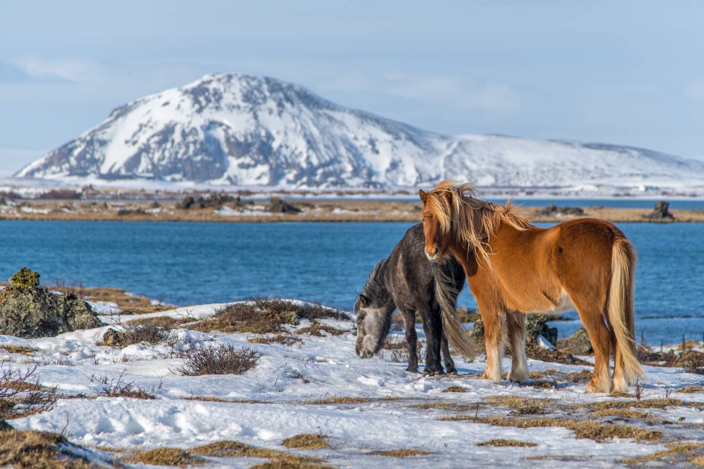 Lake Mývatn, Iceland