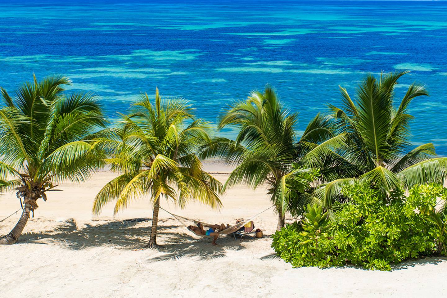 hammock between two palm trees by ocean