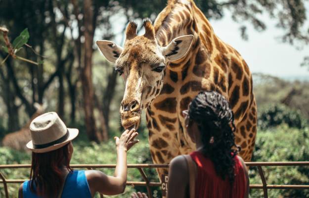 Nairobi Giraffe National Park