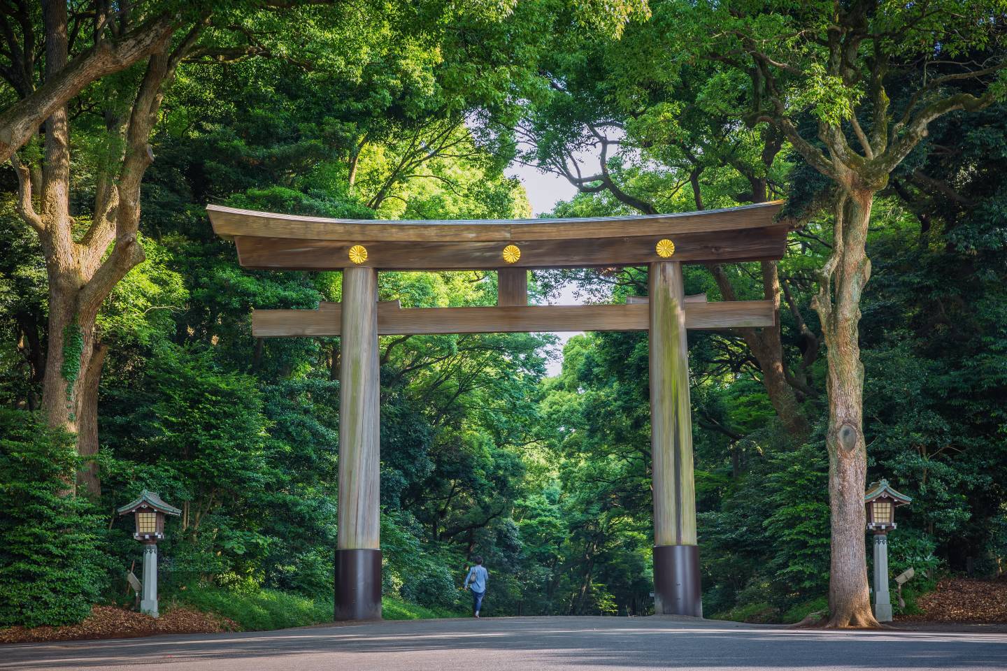 Meiji-jingu Temple Toyko, Japan