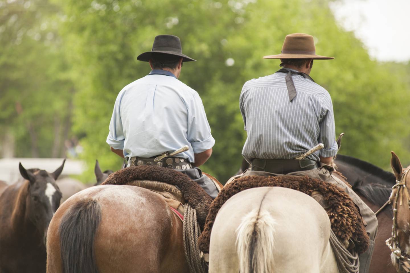 two gauchos on horses