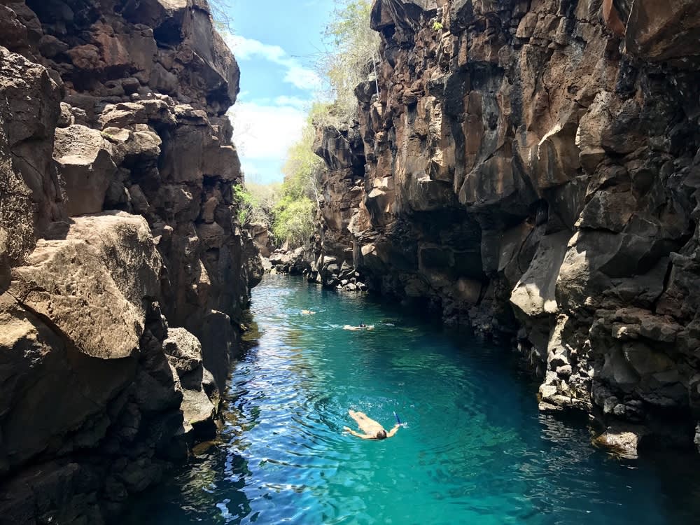 Galapagos snorkeling