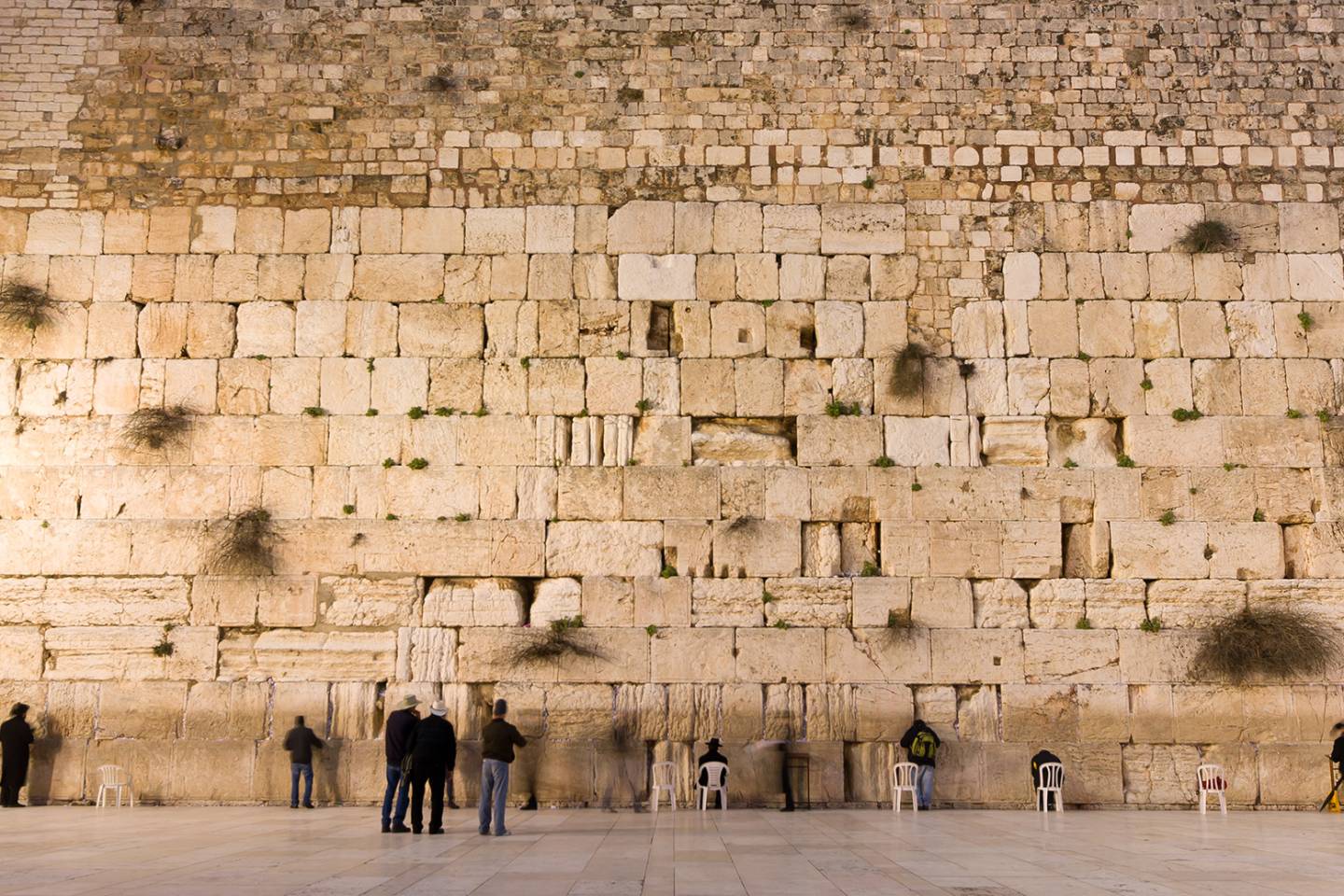 people praying at the western wall