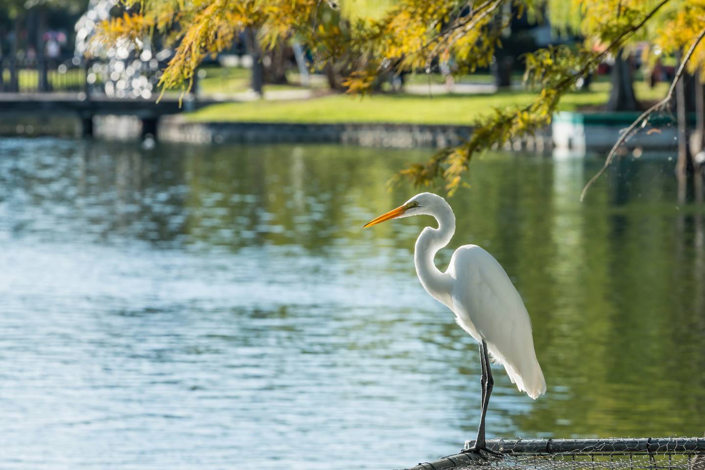 Orlando, Florida